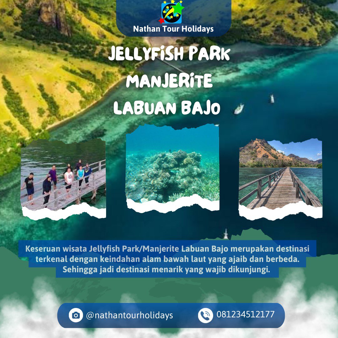 Keseruan Wisata Jellyfish Park/Manjerite Labuan Bajo